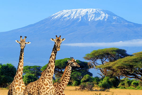 Journey to Mount Kilimanjaro with Exploradus