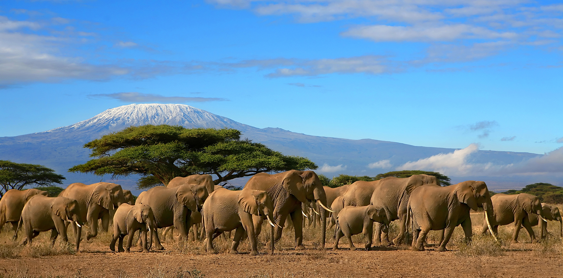 Journey to the summit of Mount Kilimanjaro with Exploradus